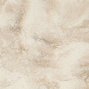 VD175 Dandelion